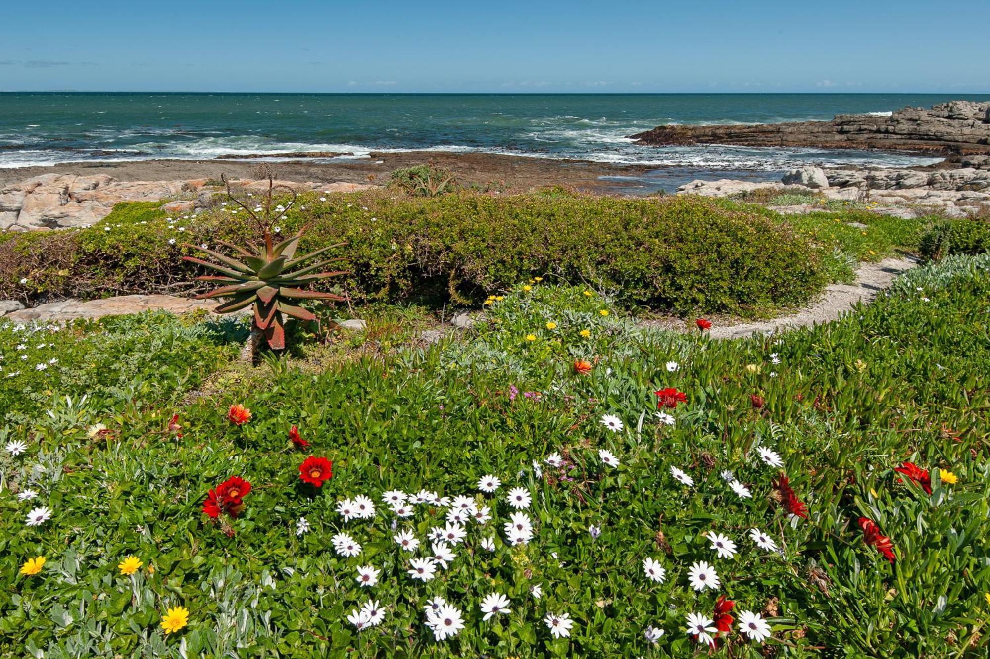 64 Whalerock Estate Lägenhet Hermanus Exteriör bild