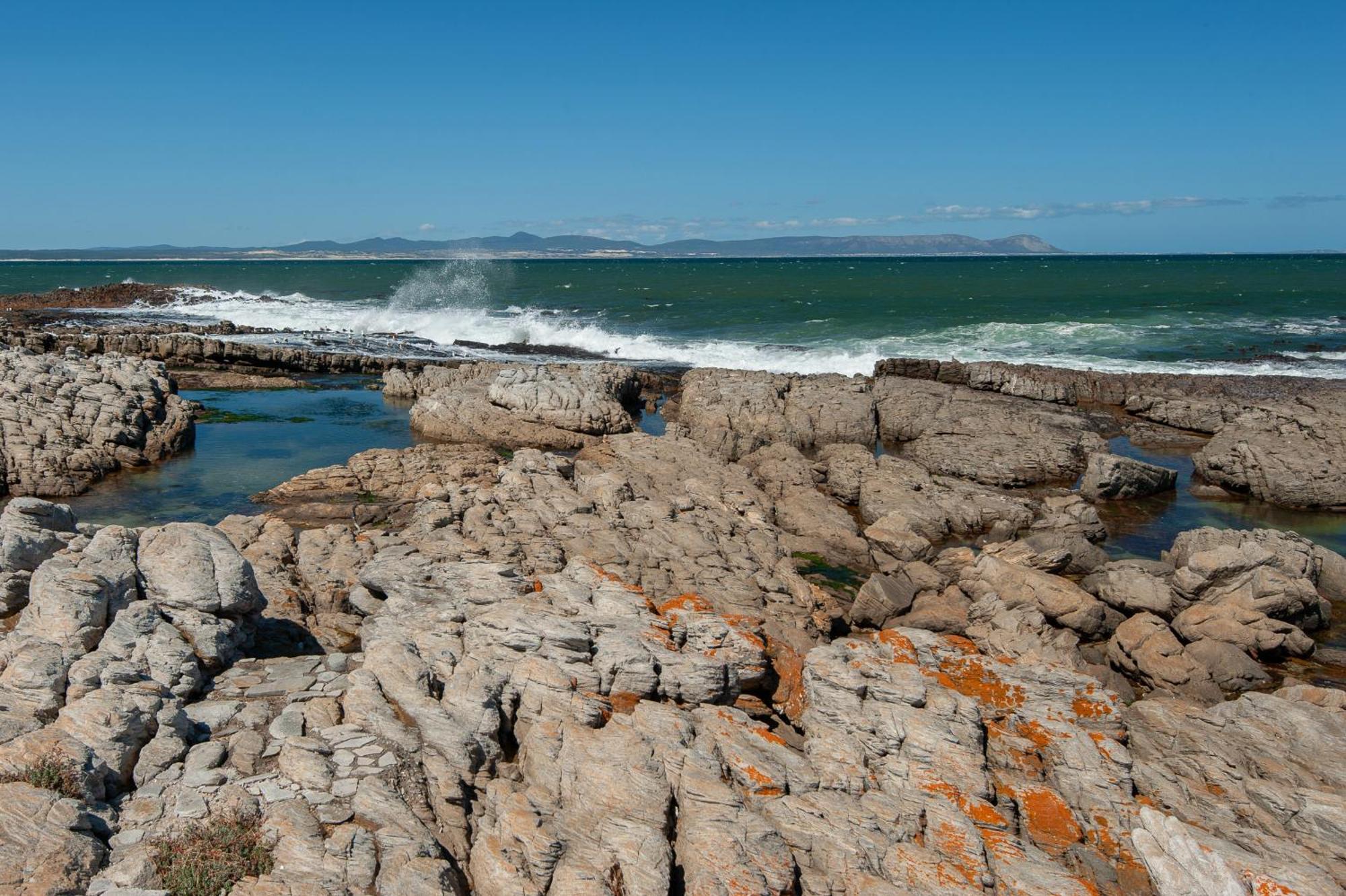 64 Whalerock Estate Lägenhet Hermanus Exteriör bild